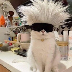 莳郁资料,莳郁最新歌曲,莳郁MV视频,莳郁音乐专辑,莳郁好听的歌