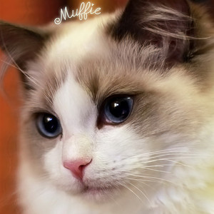 oamlna资料,oamlna最新歌曲,oamlnaMV视频,oamlna音乐专辑,oamlna好听的歌