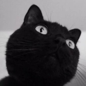 佟鑫（三斤） - 谁 (Live)