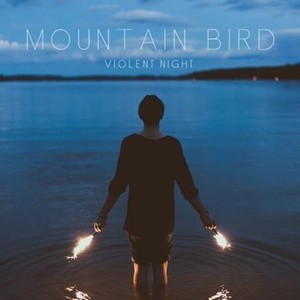 Mountain Bird