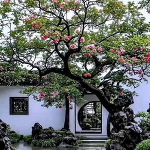 艾佳资料,艾佳最新歌曲,艾佳MV视频,艾佳音乐专辑,艾佳好听的歌