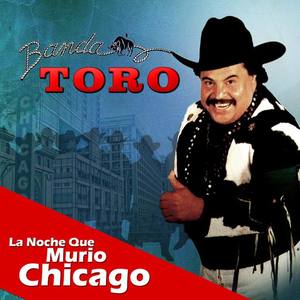 Banda Toro资料,Banda Toro最新歌曲,Banda ToroMV视频,Banda Toro音乐专辑,Banda Toro好听的歌