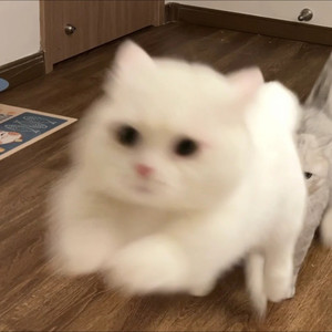 皙皙xixiii资料,皙皙xixiii最新歌曲,皙皙xixiiiMV视频,皙皙xixiii音乐专辑,皙皙xixiii好听的歌