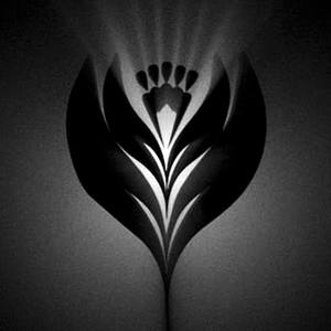 RocBeezy资料,RocBeezy最新歌曲,RocBeezyMV视频,RocBeezy音乐专辑,RocBeezy好听的歌