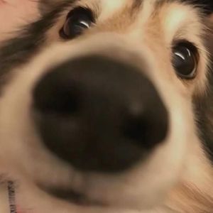 铁锤资料,铁锤最新歌曲,铁锤MV视频,铁锤音乐专辑,铁锤好听的歌