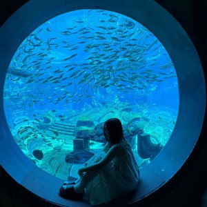 莉亚羊羊资料,莉亚羊羊最新歌曲,莉亚羊羊MV视频,莉亚羊羊音乐专辑,莉亚羊羊好听的歌