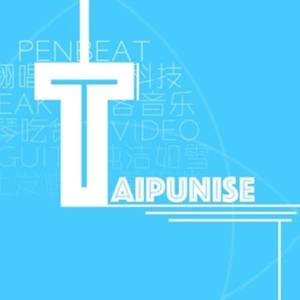 Taipunise