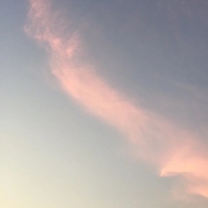 LC.OCEAN资料,LC.OCEAN最新歌曲,LC.OCEANMV视频,LC.OCEAN音乐专辑,LC.OCEAN好听的歌