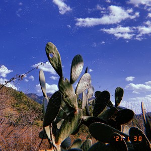 最高密度资料,最高密度最新歌曲,最高密度MV视频,最高密度音乐专辑,最高密度好听的歌