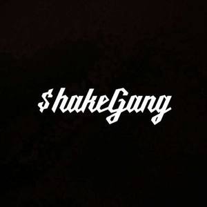 圳动Shakegang