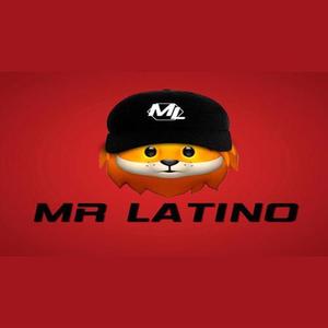 Mr Latino