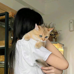 弥勒资料,弥勒最新歌曲,弥勒MV视频,弥勒音乐专辑,弥勒好听的歌