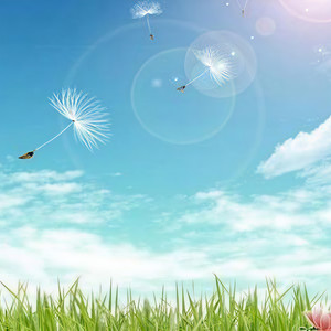 DJ梦菲资料,DJ梦菲最新歌曲,DJ梦菲MV视频,DJ梦菲音乐专辑,DJ梦菲好听的歌