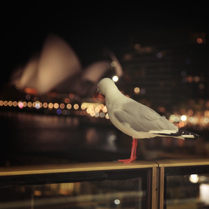 Moyzer资料,Moyzer最新歌曲,MoyzerMV视频,Moyzer音乐专辑,Moyzer好听的歌