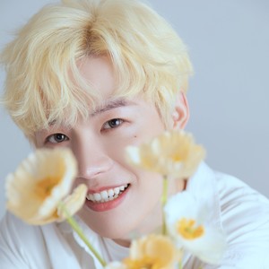 丁丁RaJor - 致最喜欢的他