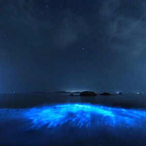 硬邦邦资料,硬邦邦最新歌曲,硬邦邦MV视频,硬邦邦音乐专辑,硬邦邦好听的歌