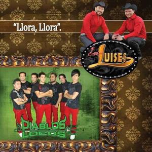 Los Luises