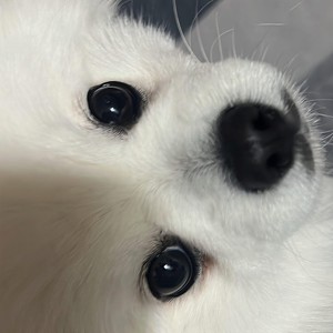 HATER (이진우)资料,HATER (이진우)最新歌曲,HATER (이진우)MV视频,HATER (이진우)音乐专辑,HATER (이진우)好听的歌