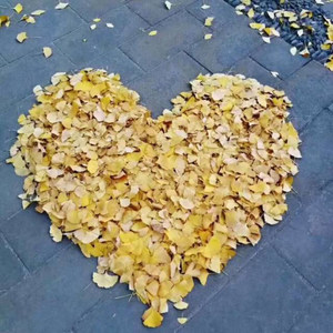 坠落眼角的烟火