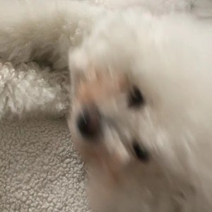 朱乐之（DK.Cthulhu）资料,朱乐之（DK.Cthulhu）最新歌曲,朱乐之（DK.Cthulhu）MV视频,朱乐之（DK.Cthulhu）音乐专辑,朱乐之（DK.Cthulhu）好听的歌