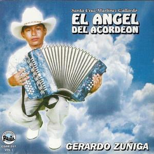 El Angel Del Acordeon