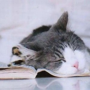 助眠大师 - 放松解压纯音乐，减压宁神，助力睡眠！