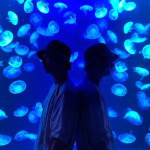 果壳资料,果壳最新歌曲,果壳MV视频,果壳音乐专辑,果壳好听的歌