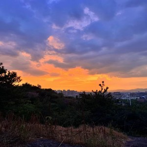 Go Viral资料,Go Viral最新歌曲,Go ViralMV视频,Go Viral音乐专辑,Go Viral好听的歌