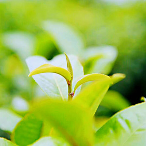 马晓慧资料,马晓慧最新歌曲,马晓慧MV视频,马晓慧音乐专辑,马晓慧好听的歌