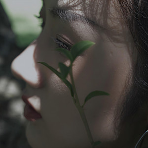 张筛子资料,张筛子最新歌曲,张筛子MV视频,张筛子音乐专辑,张筛子好听的歌