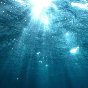 七殇情叔资料,七殇情叔最新歌曲,七殇情叔MV视频,七殇情叔音乐专辑,七殇情叔好听的歌