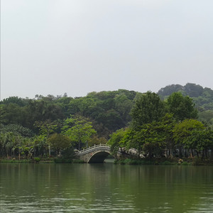 你没见过我爱你的样子