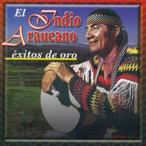 El Indio Araucano