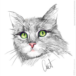 吃猫的鱼资料,吃猫的鱼最新歌曲,吃猫的鱼MV视频,吃猫的鱼音乐专辑,吃猫的鱼好听的歌