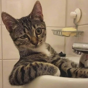 宋海军资料,宋海军最新歌曲,宋海军MV视频,宋海军音乐专辑,宋海军好听的歌