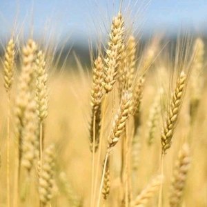 ***009资料,***009最新歌曲,***009MV视频,***009音乐专辑,***009好听的歌