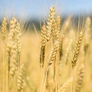 ***009资料,***009最新歌曲,***009MV视频,***009音乐专辑,***009好听的歌