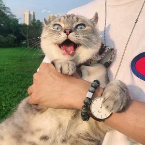 梦里梦外都是你