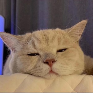 肖老头资料,肖老头最新歌曲,肖老头MV视频,肖老头音乐专辑,肖老头好听的歌