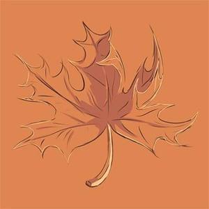 yungmaple资料,yungmaple最新歌曲,yungmapleMV视频,yungmaple音乐专辑,yungmaple好听的歌