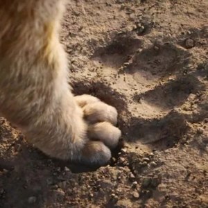 槿离资料,槿离最新歌曲,槿离MV视频,槿离音乐专辑,槿离好听的歌