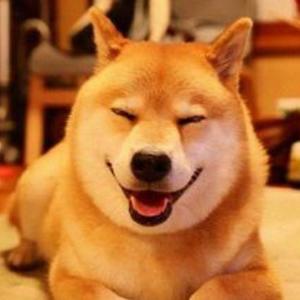 狗子资料,狗子最新歌曲,狗子MV视频,狗子音乐专辑,狗子好听的歌