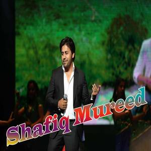 Shafiq Mureed