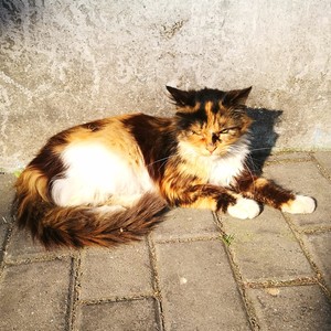 鳗鱼资料,鳗鱼最新歌曲,鳗鱼MV视频,鳗鱼音乐专辑,鳗鱼好听的歌