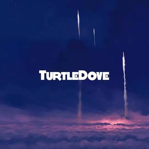 Turtledove斑鸠