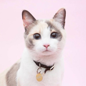 顾思莹资料,顾思莹最新歌曲,顾思莹MV视频,顾思莹音乐专辑,顾思莹好听的歌