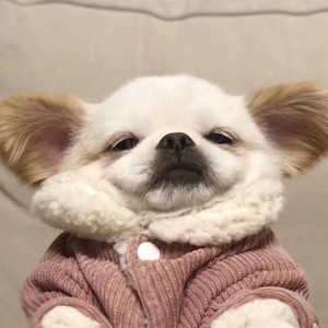 陈憨憨资料,陈憨憨最新歌曲,陈憨憨MV视频,陈憨憨音乐专辑,陈憨憨好听的歌