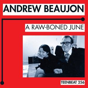 Andrew Beaujon