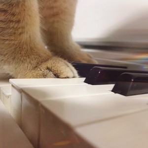 我有一点生气资料,我有一点生气最新歌曲,我有一点生气MV视频,我有一点生气音乐专辑,我有一点生气好听的歌