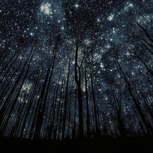 Sandy Sun资料,Sandy Sun最新歌曲,Sandy SunMV视频,Sandy Sun音乐专辑,Sandy Sun好听的歌